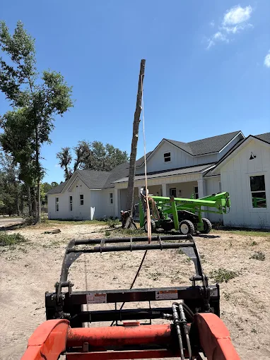Crane-assisted removal of a tall pine at a new construction home
