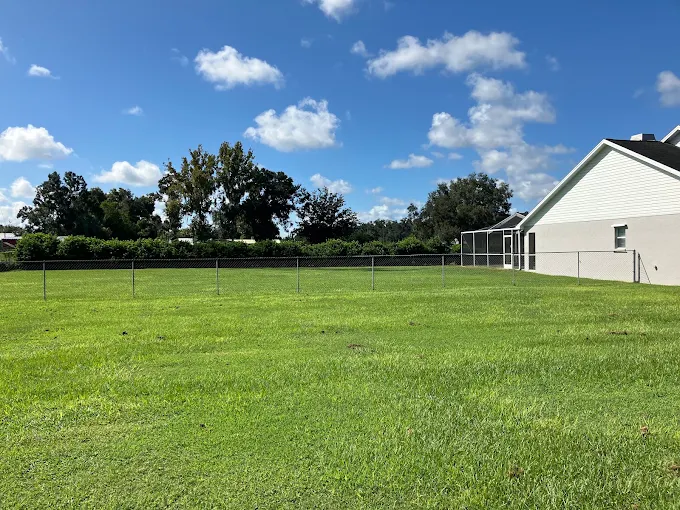 Thick green backyard lawn mowed clean to the fence line