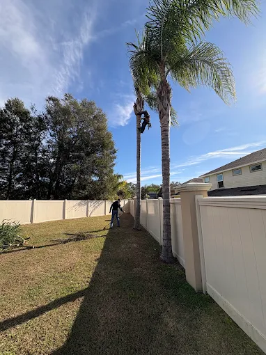 Palm trimming along a vinyl fence line in a backyard