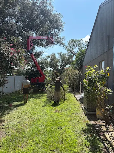 Crew working a spider lift on a tight side-yard tree trim