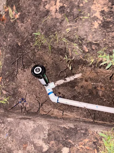 New sprinkler head and PVC fitting installed in a landscape bed