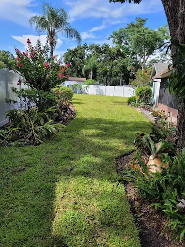 Lush green side yard with crape myrtle and tropical beds