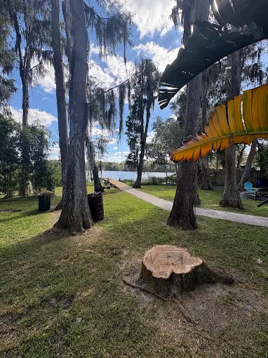 Freshly cut stump in a lakefront yard after tree removal